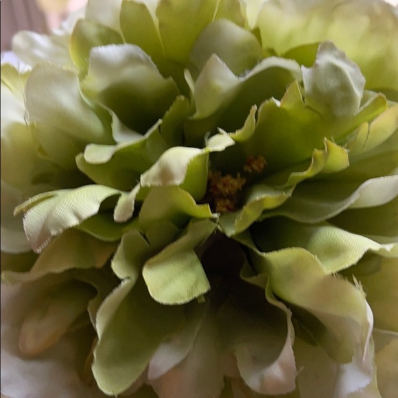 Meet your Posher, Christian - Picture 1 of 1